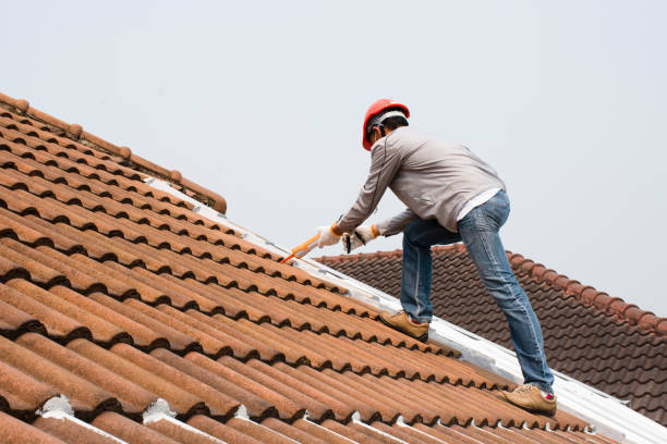 Best Solar Panel Roofing Installation  in Tempe, AZ